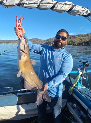 Catfish and Crappie Fishing Trip