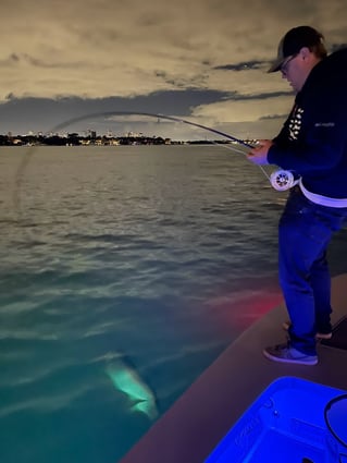 Night Tarpon Fishing