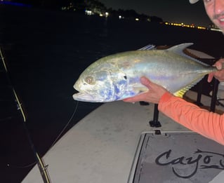 Night Tarpon Fishing