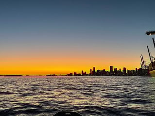 Night Tarpon Fishing