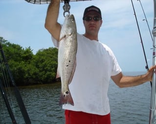 4-6 Hour Trip – Inshore 