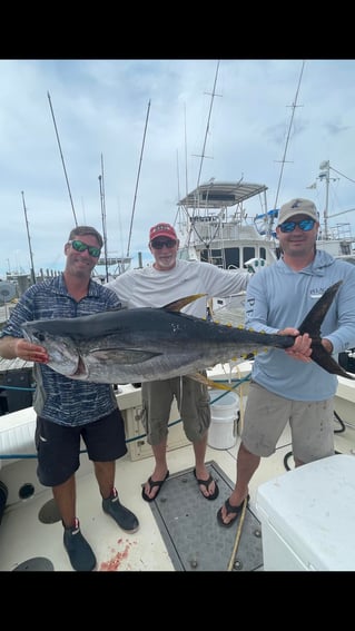 Full Day Tuna Trip