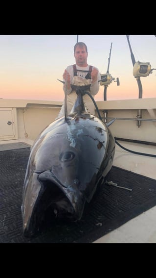 Full Day Tuna Trip