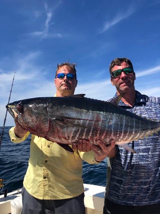 Full Day Tuna Trip
