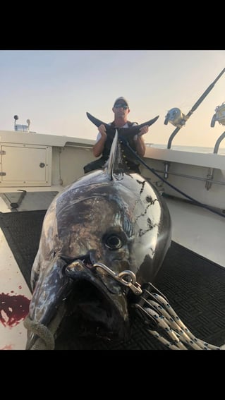 Full Day Tuna Trip