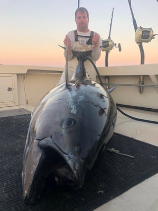 Full Day Tuna Trip