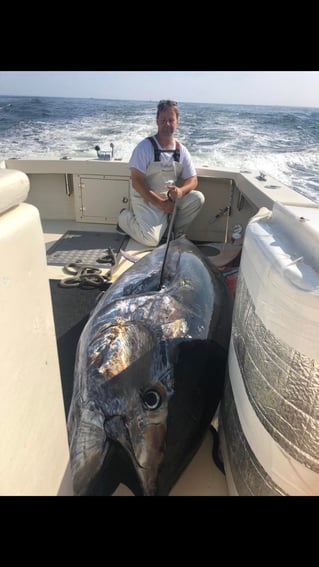 Full Day Tuna Trip