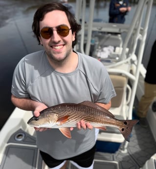 4-6 Hour Trip Trip – Inshore