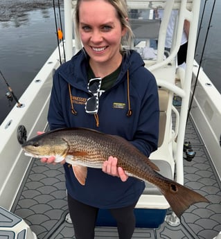 4-6 Hour Trip Trip – Inshore