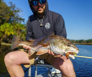 4-6 Hour Trip Trip – Inshore