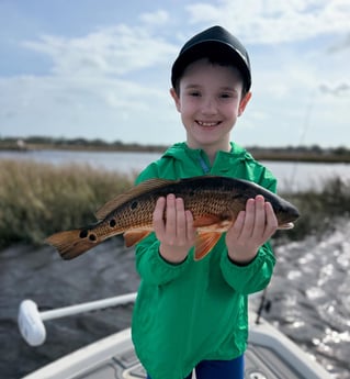 4-6 Hour Trip Trip – Inshore