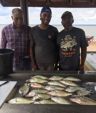 Full Day or Until Limit