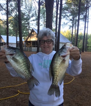 Full Day or Until Limit