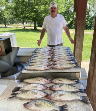 Full Day or Until Limit