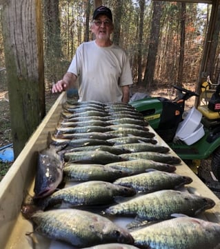 Full Day or Until Limit