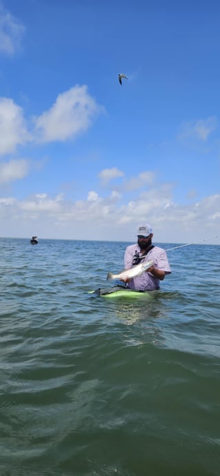 Artificial Only Wade Fishing