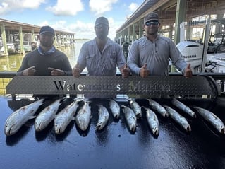 Artificial Only Wade Fishing