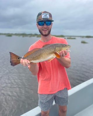 Full Day Trip Morning