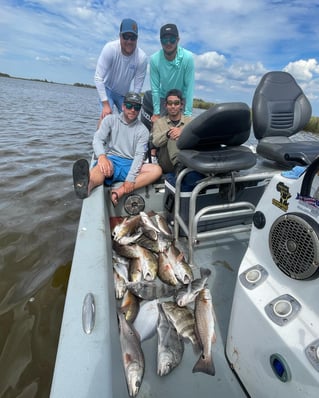 Full Day Trip Morning