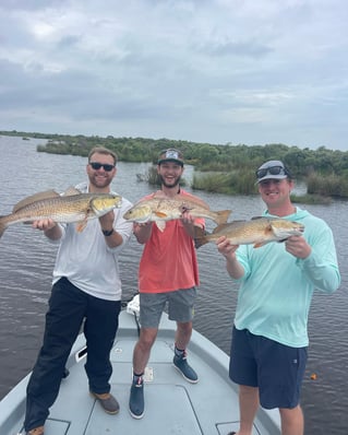 Full Day Trip Morning