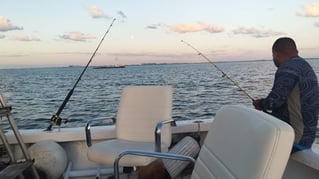 Early Offshore + Island Stop