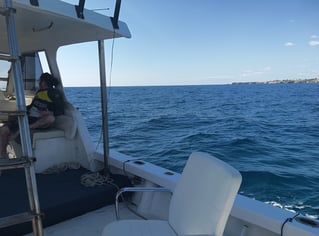 Early Offshore + Island Stop