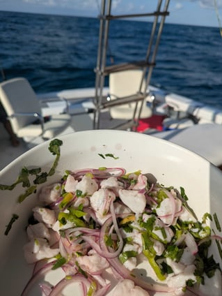 Early Offshore + Island Stop