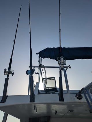 Early Offshore + Island Stop