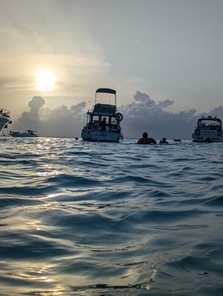 Early Offshore + Island Stop