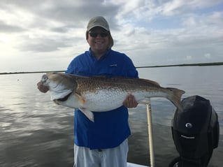 6 hr Inshore Trip