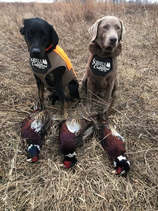 Self Guided Phesant Hunts