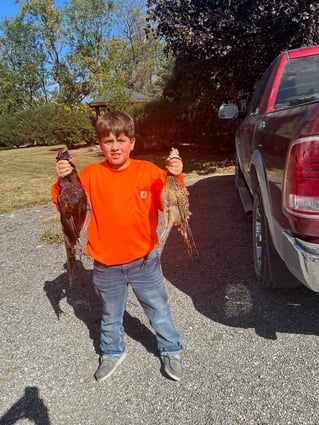 Self Guided Phesant Hunts