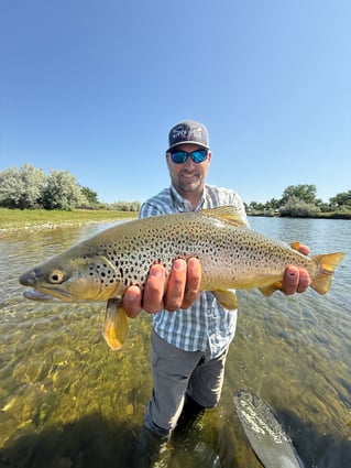 Montana Fly Fishing