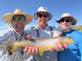 Montana Fly Fishing
