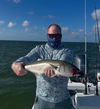 Inshore Fishing