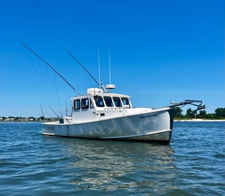 8 HR Summer Flounder 