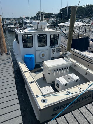 8 HR Summer Flounder 