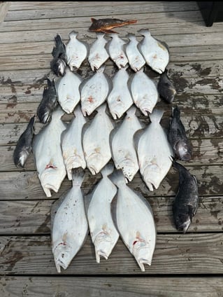 8 HR Summer Flounder 