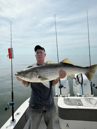 5-6 Hour Trip – Striped Bass
