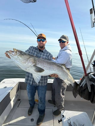 5-6 Hour Trip – Striped Bass