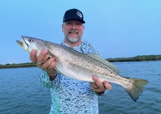 4-6 Hour Inshore Trip