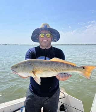 4-6 Hour Inshore Trip