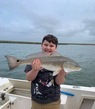 4-6 Hour Inshore Trip