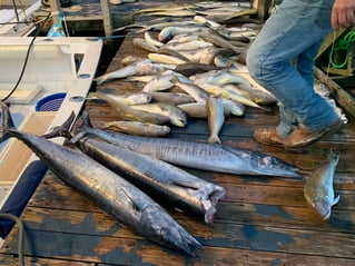 Offshore Canyon Adventure