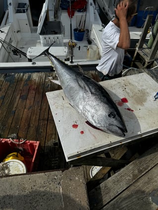 Offshore Canyon Adventure
