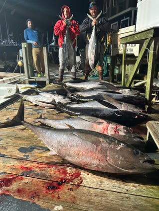 Offshore Canyon Adventure