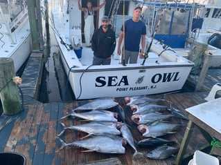 Offshore Canyon Adventure