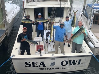 Offshore Canyon Adventure