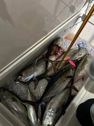Full day Offshore trip
