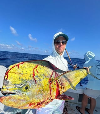 Full day Offshore trip